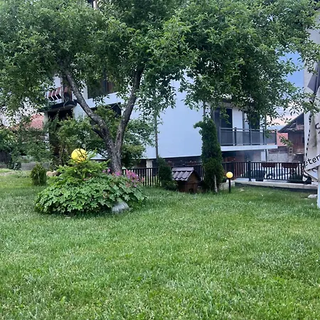 拉菲旅馆 招待所 多布里尼什特