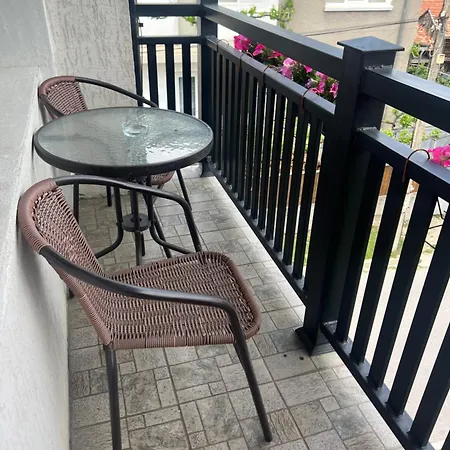 拉菲旅馆 4* 多布里尼什特