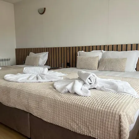 Casa de hóspedes Raffe 4*