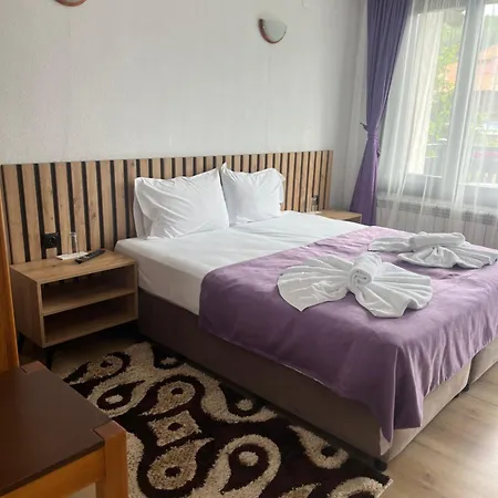 Guest house Raffe *