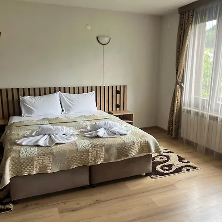 拉菲旅馆 多布里尼什特