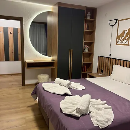 拉菲旅馆 招待所 多布里尼什特