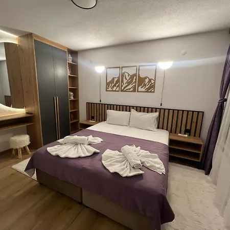 拉菲旅馆 4* 多布里尼什特