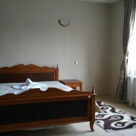 拉菲旅馆 4* 多布里尼什特