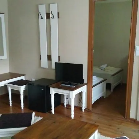 拉菲旅馆 4* 多布里尼什特