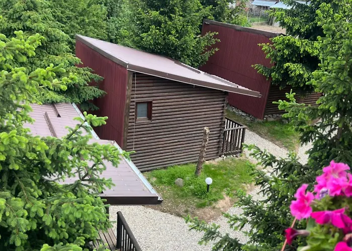 Raffe 도브리니쉬트